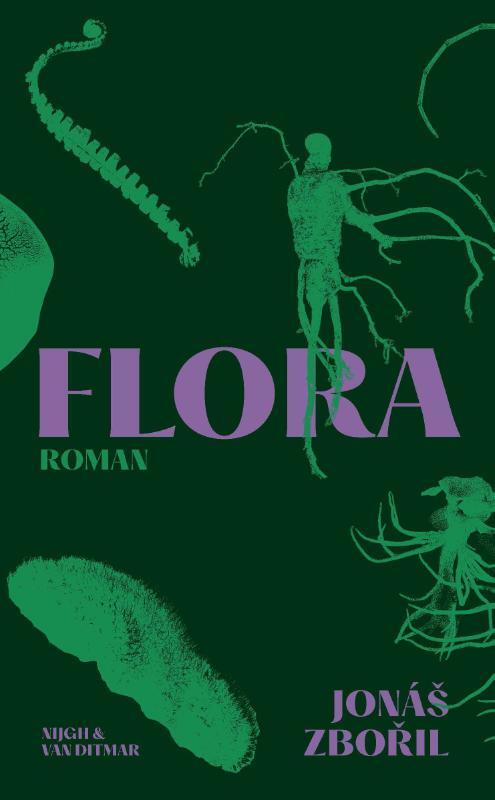Flora