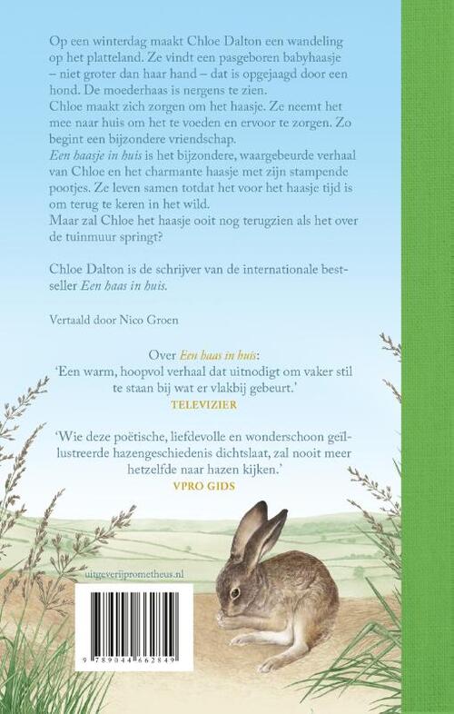 Een haasje in huis
