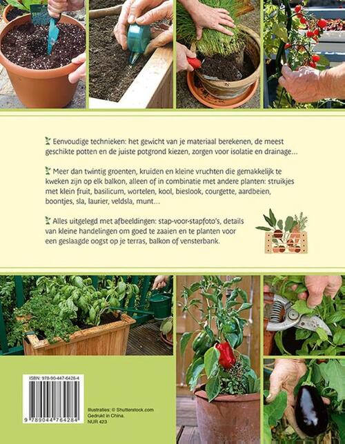 Een groentetuin in pottten & bakken