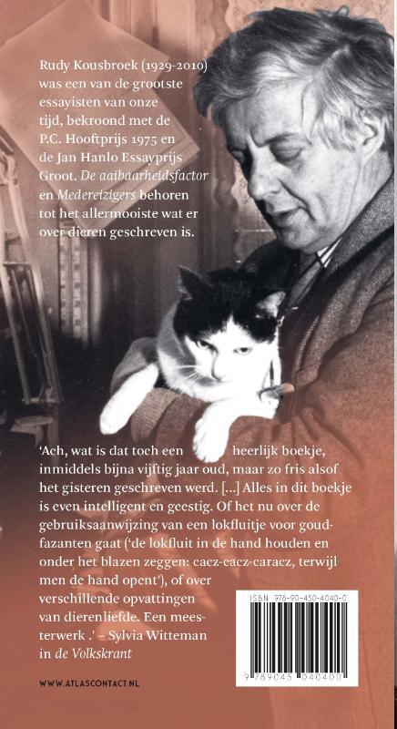 De aaibaarheidsfactor