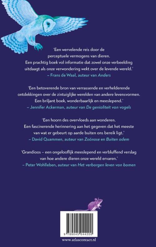 Een Immense wereld