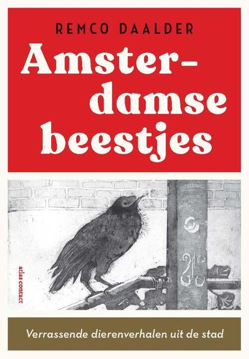 Stadse Beestjes Remco Daalder Boek 9789045048178 ReadShop