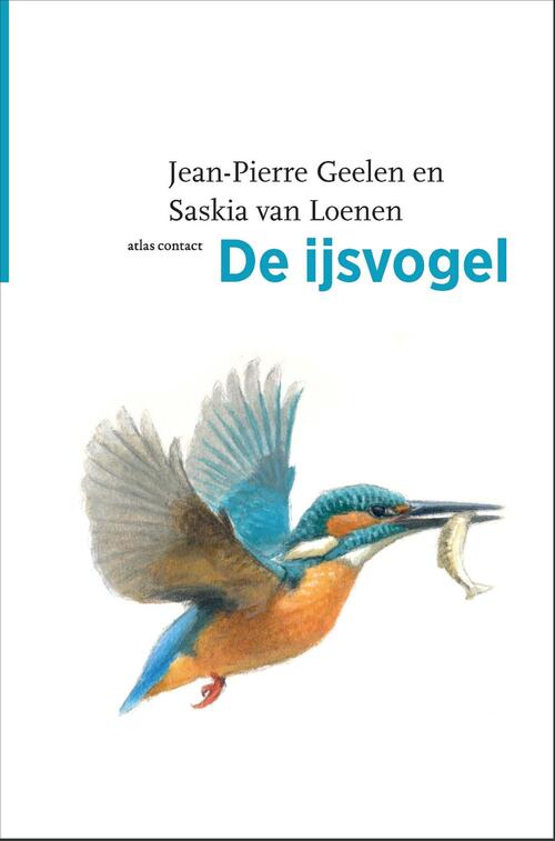 De ijsvogel