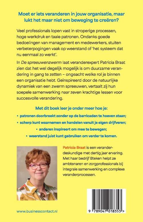 De spreeuwenzwerm
