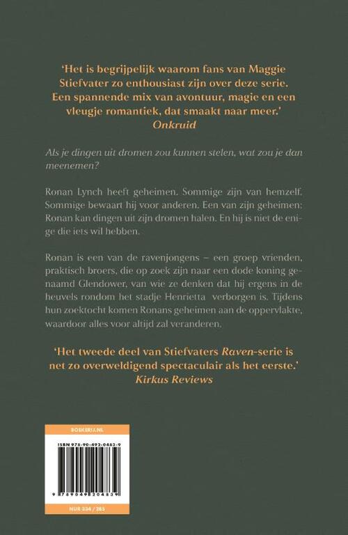 Raven 2 - De dromendieven