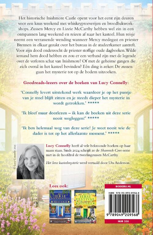 Het Ierse kasteelmysterie