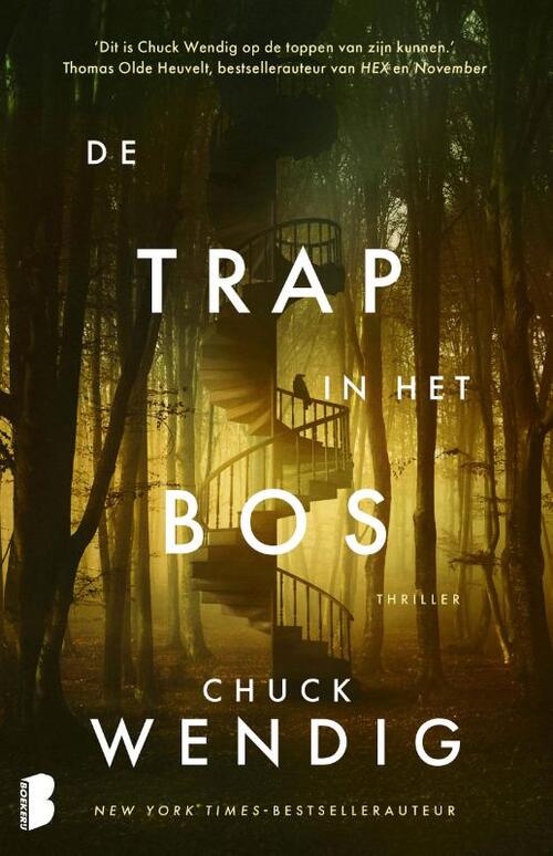 De trap in het bos