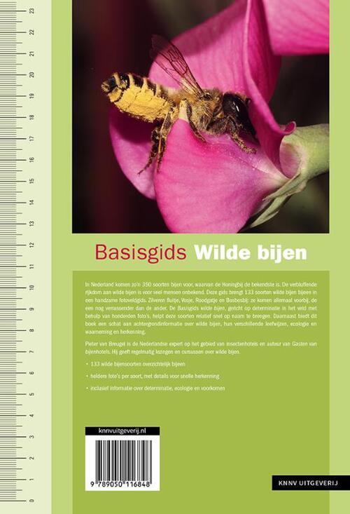 Basisgids wilde bijen