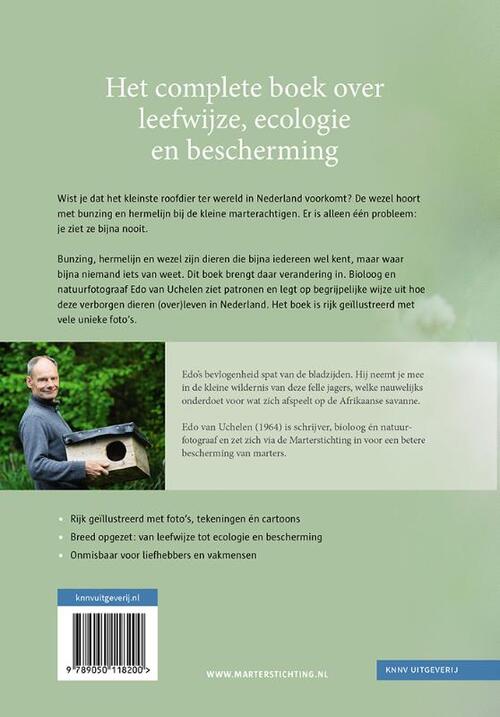 Bunzing, hermelijn en wezel