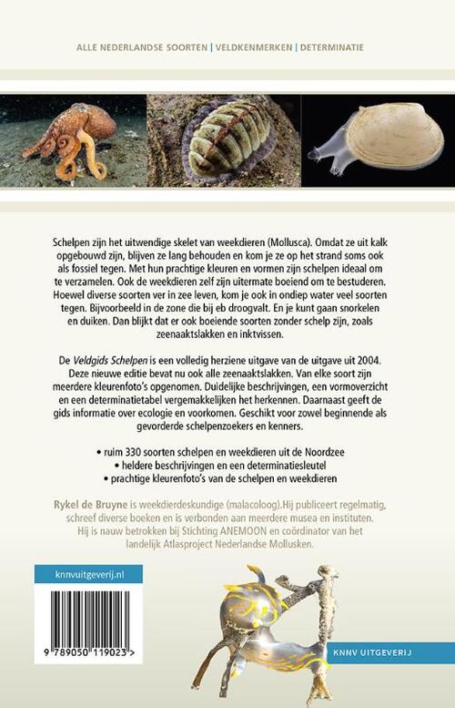 Veldgids Schelpen