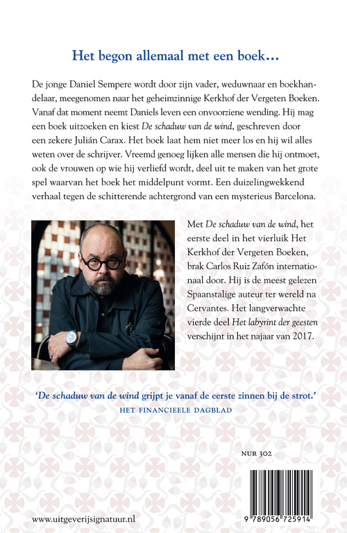 De schaduw van de wind