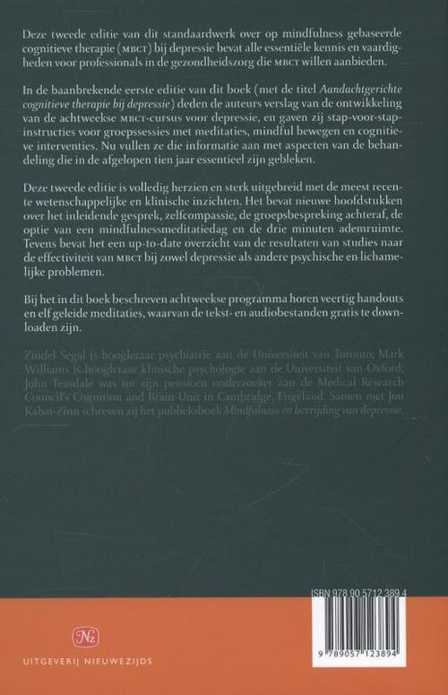 Mindfulness en cognitieve therapie bij depressie
