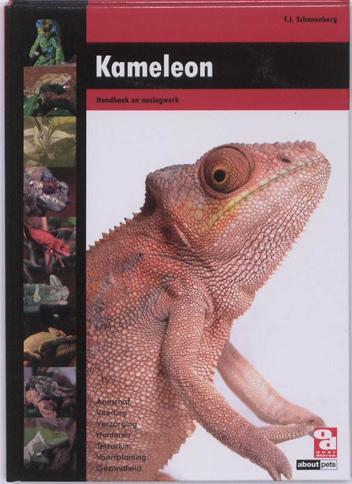 Kameleon