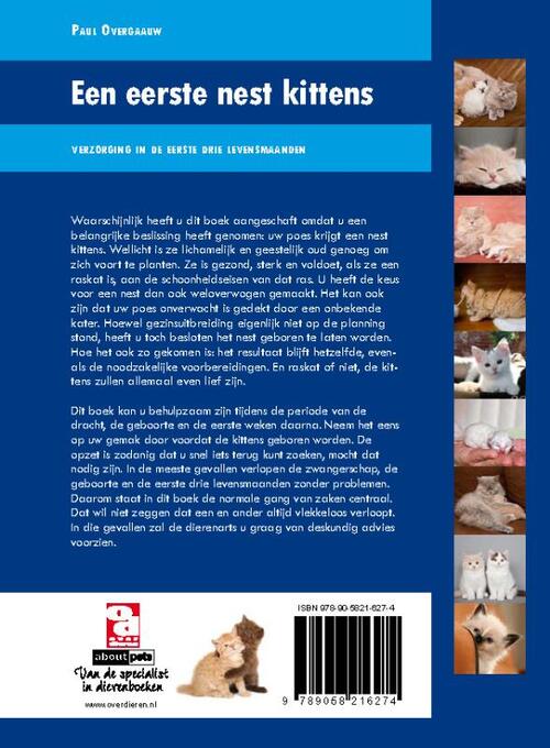 Een eerste nest kittens