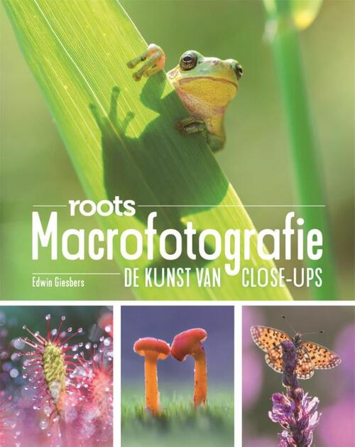 Macrofotografie