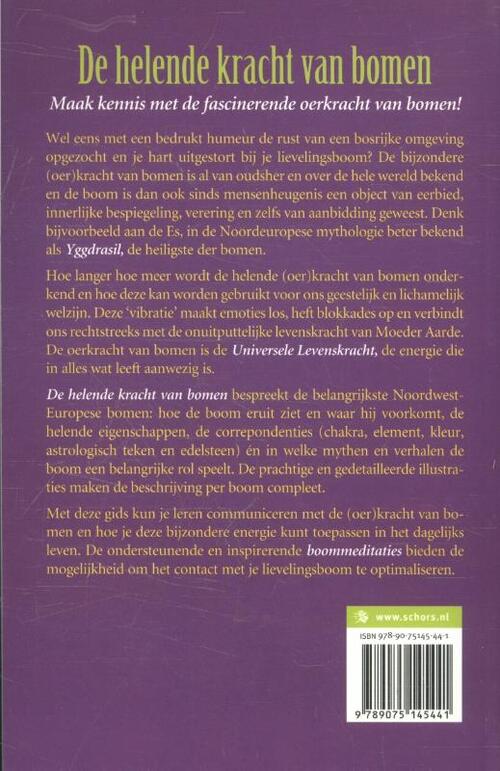 De helende kracht van bomen