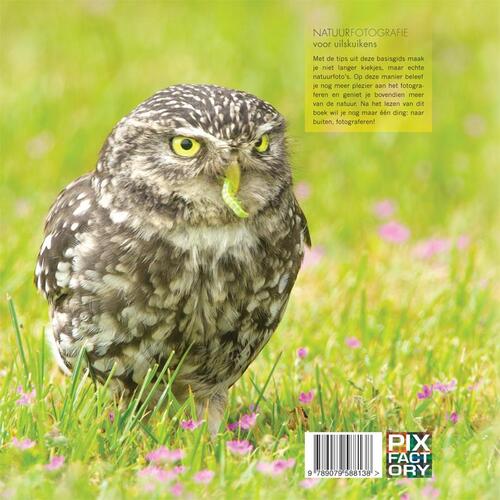 Natuurfotografie voor uilskuikens