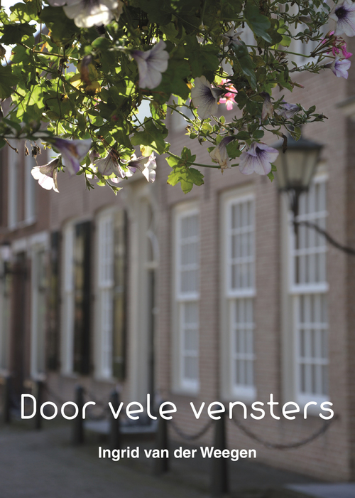 Door vele vensters
