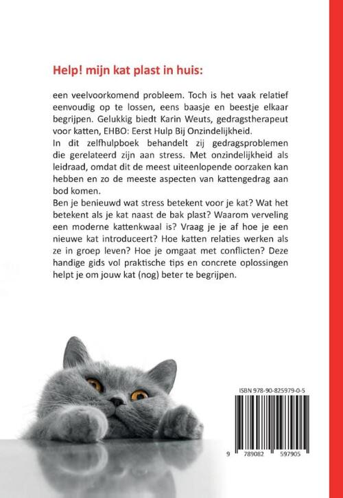 Help, mijn kat plast in huis