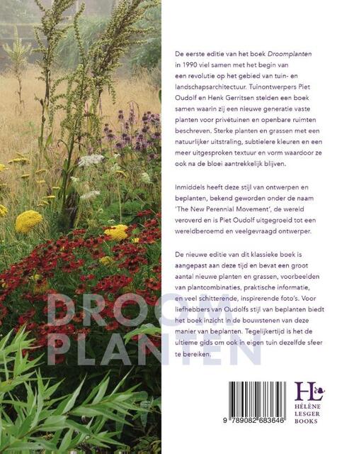 Droomplanten
