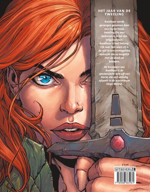 Het jaar van de Tweeling