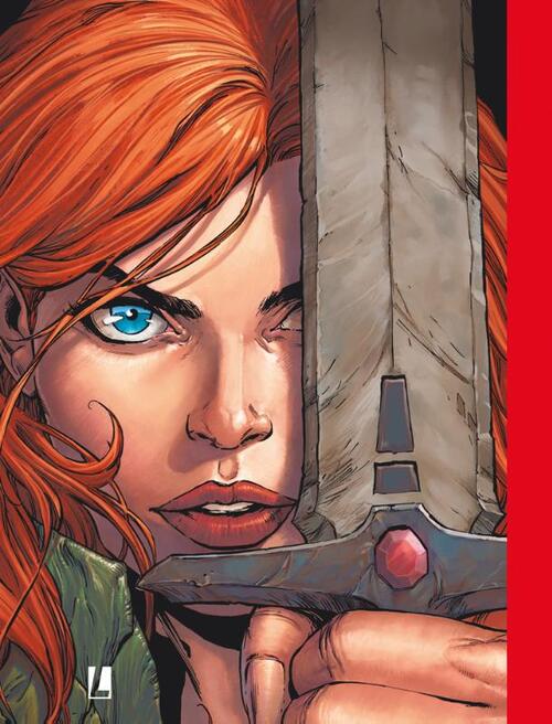 Het jaar van de Tweeling