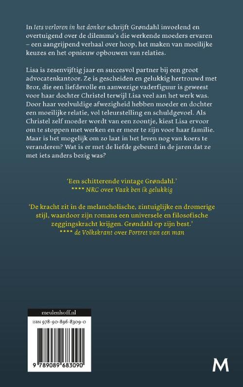 Iets verloren in het donker