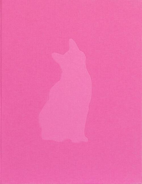 Felis Silvestris Catus