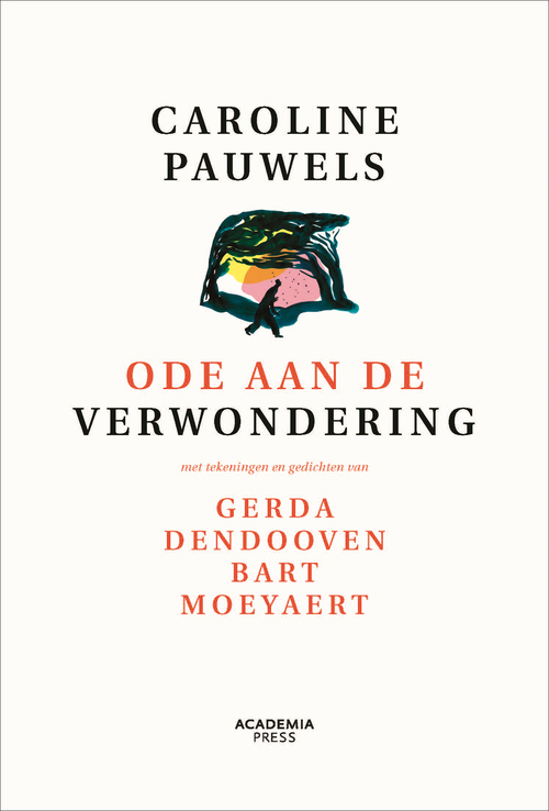 Ode aan de verwondering