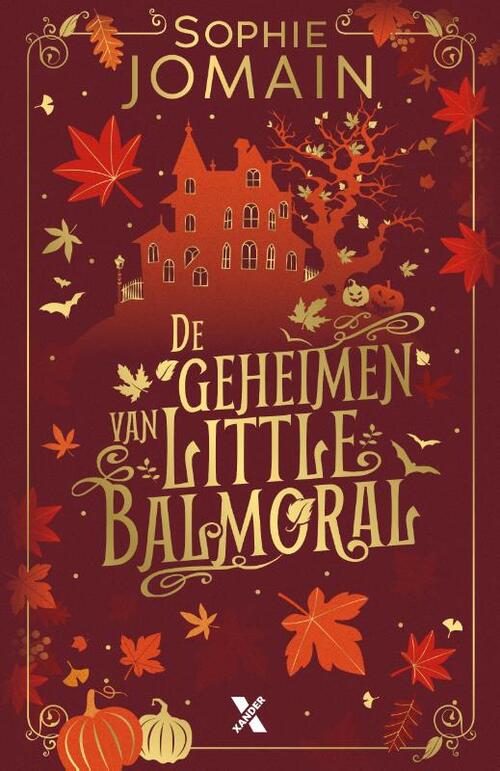 De geheimen van Little Balmoral (Puzzelroman)
