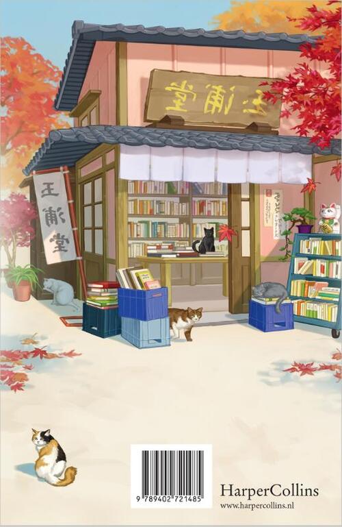 Every Bookshop Needs a Cat