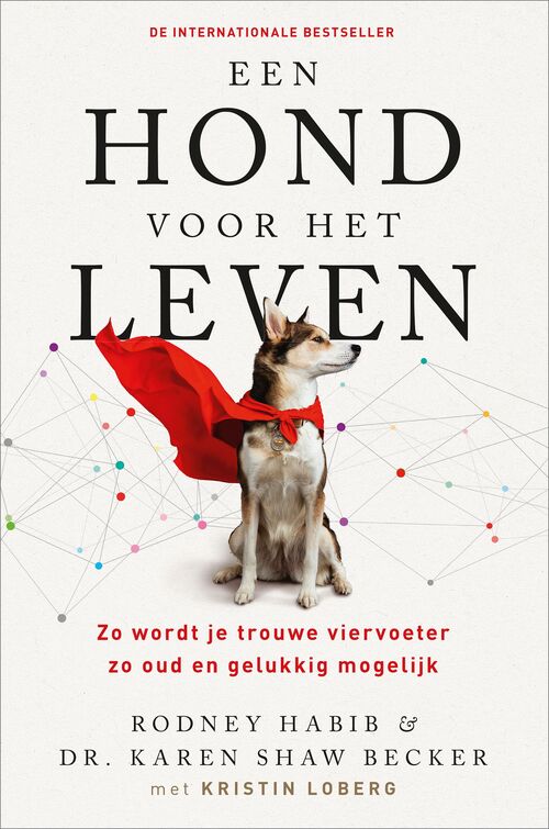 Een hond voor het leven