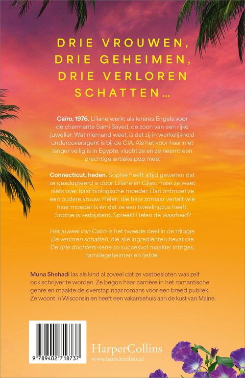 Verloren schatten 2 - Het juweel van Caïro