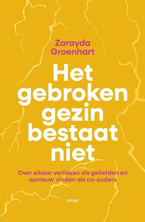 Het gebroken gezin bestaat niet