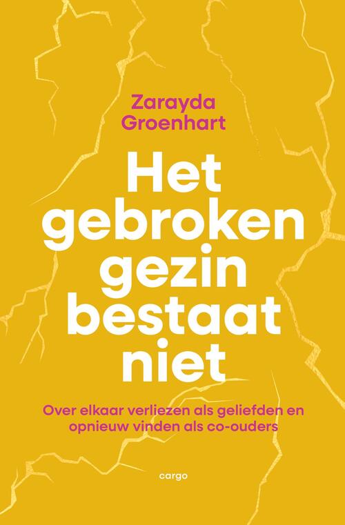 Het gebroken gezin bestaat niet
