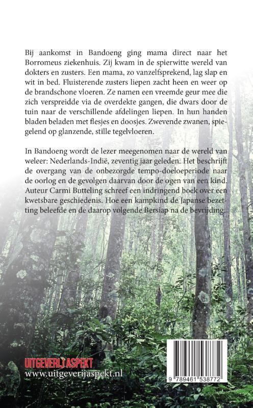 Bandoeng, Semarang en Jakarta van ooit verwaait nooit