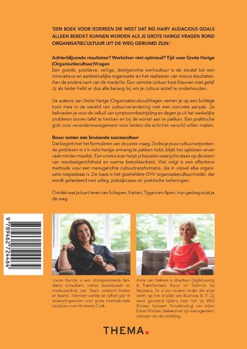 Grote harige (organisatiecultuur)vragen