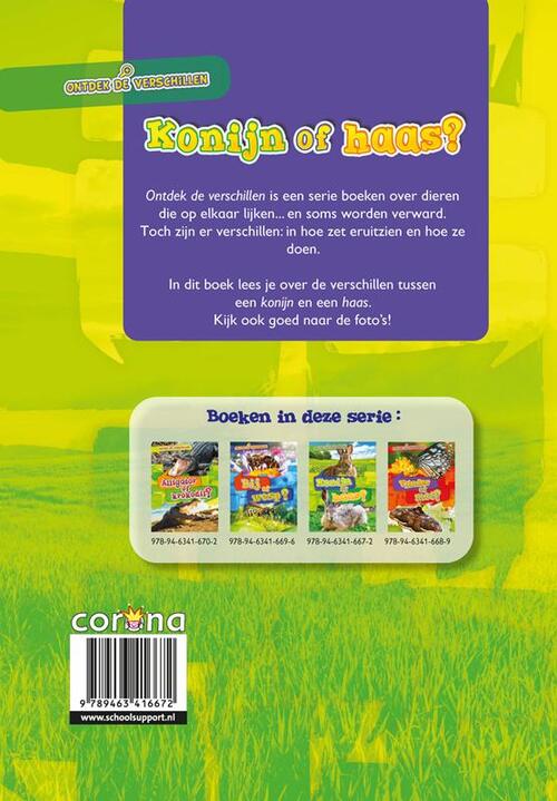 Konijn of haas?