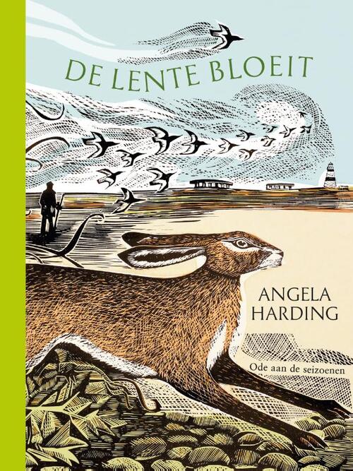 De lente bloeit