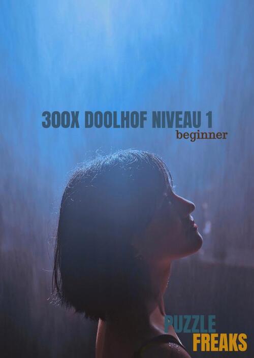 300X Doolhof Niveau 1