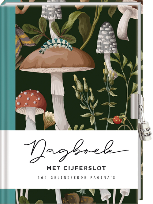 Dagboek met slot voor volwassenen