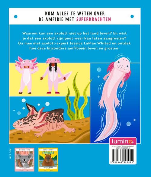 Axolotl