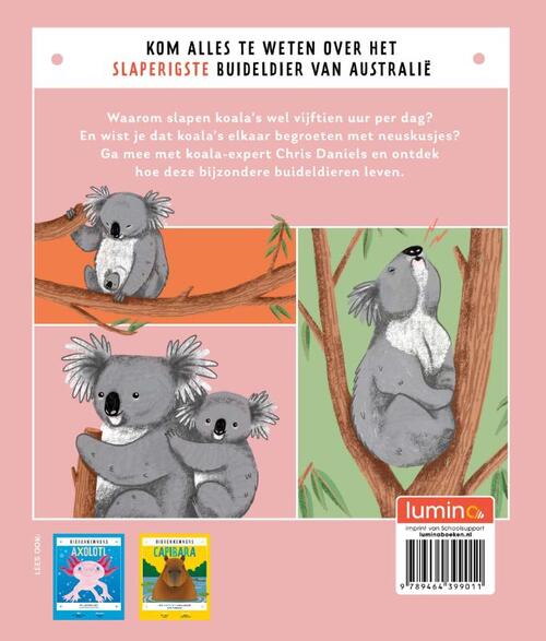 Koala