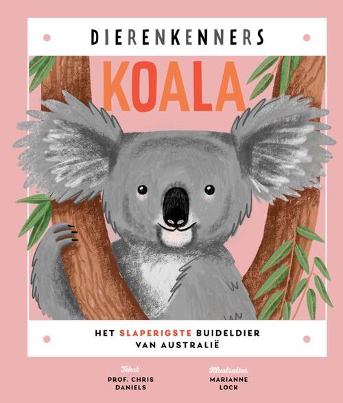 Koala