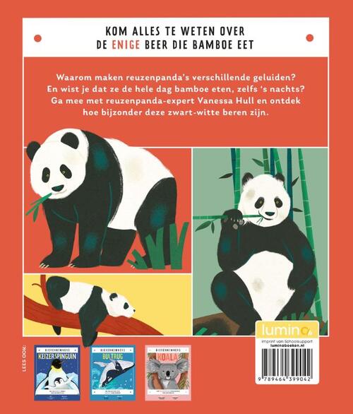 Reuzenpanda