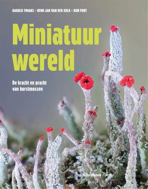 Miniatuurwereld