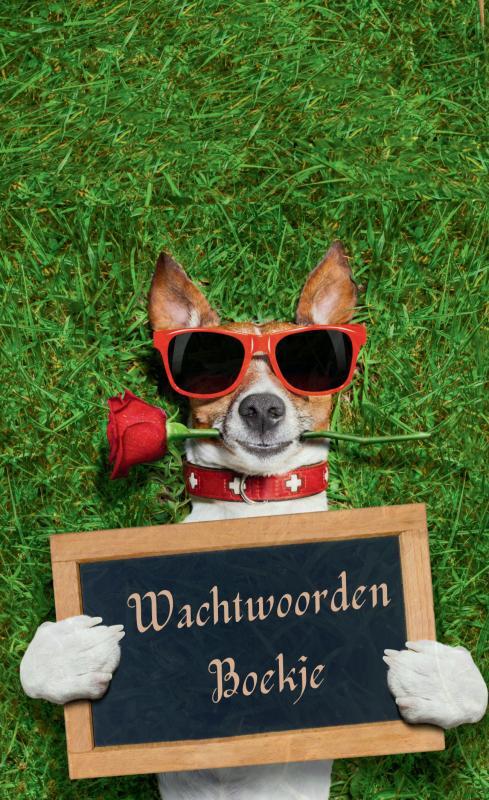 Wachtwoordenboekje met alfabet – Password Organizer - Wachtwoorden notitieboek