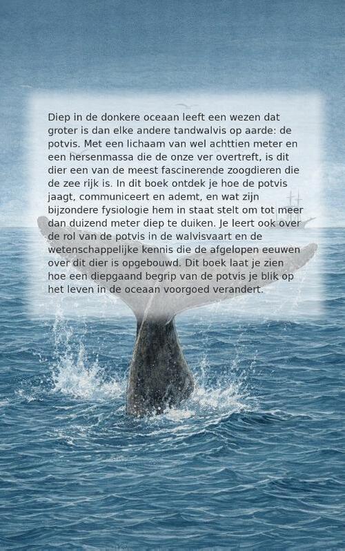 Alles over de Potvis