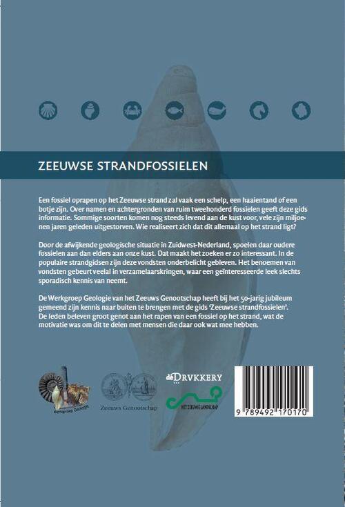 Zeeuwse strandfossielen