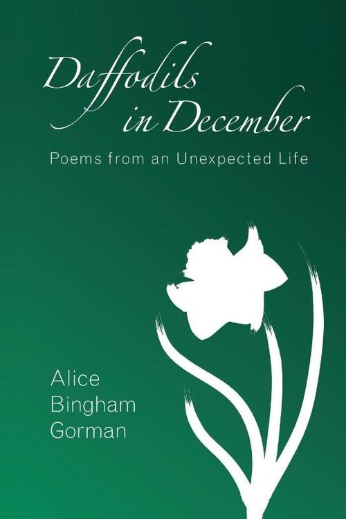 Daffodils in December